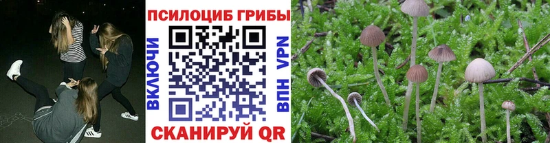 Псилоцибиновые грибы прущие грибы  дарнет шоп  Пыть-Ях 